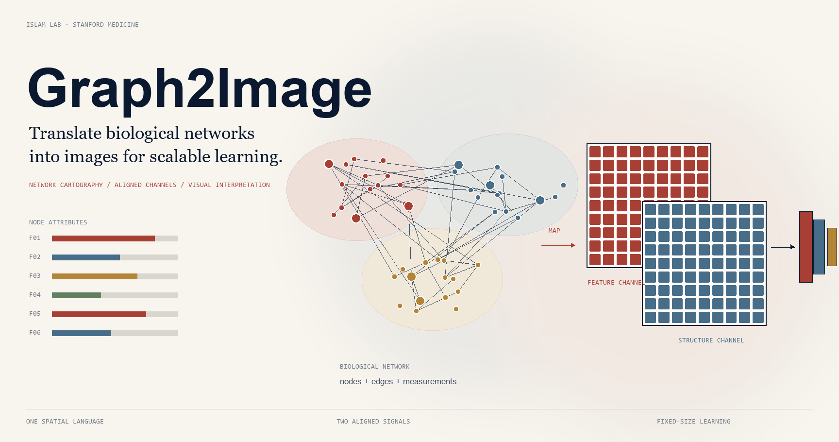 Graph2Image cover: a biological network transformed into separate, size-matched feature and structure image channels.