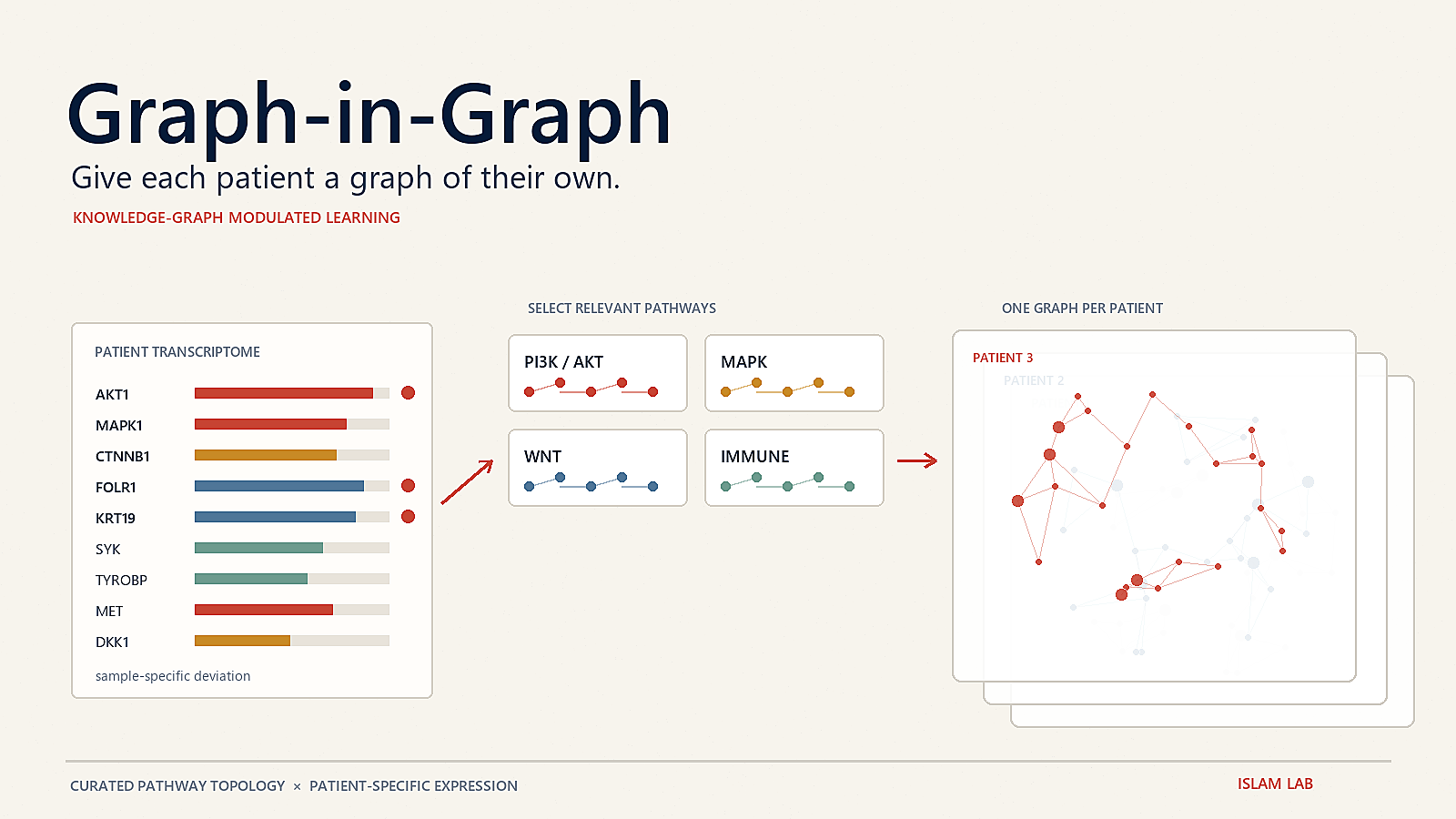 Graph-in-Graph cover: one patient transcriptome selects curated pathways that merge into a patient-specific molecular graph.